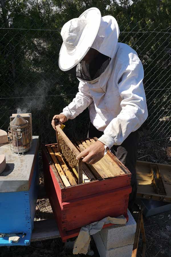 apiculteur