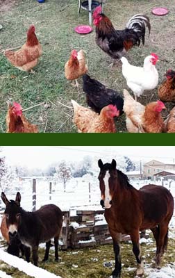 la ferme des Boudougnes à Oppède